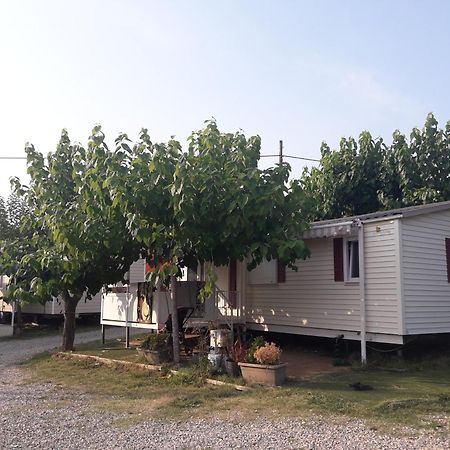 Camping Vila Village Sant Feliu de Buixalleu Eksteriør bilde