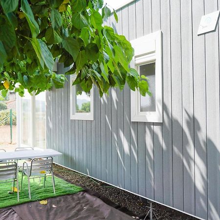 Camping Vila Village Sant Feliu de Buixalleu Eksteriør bilde