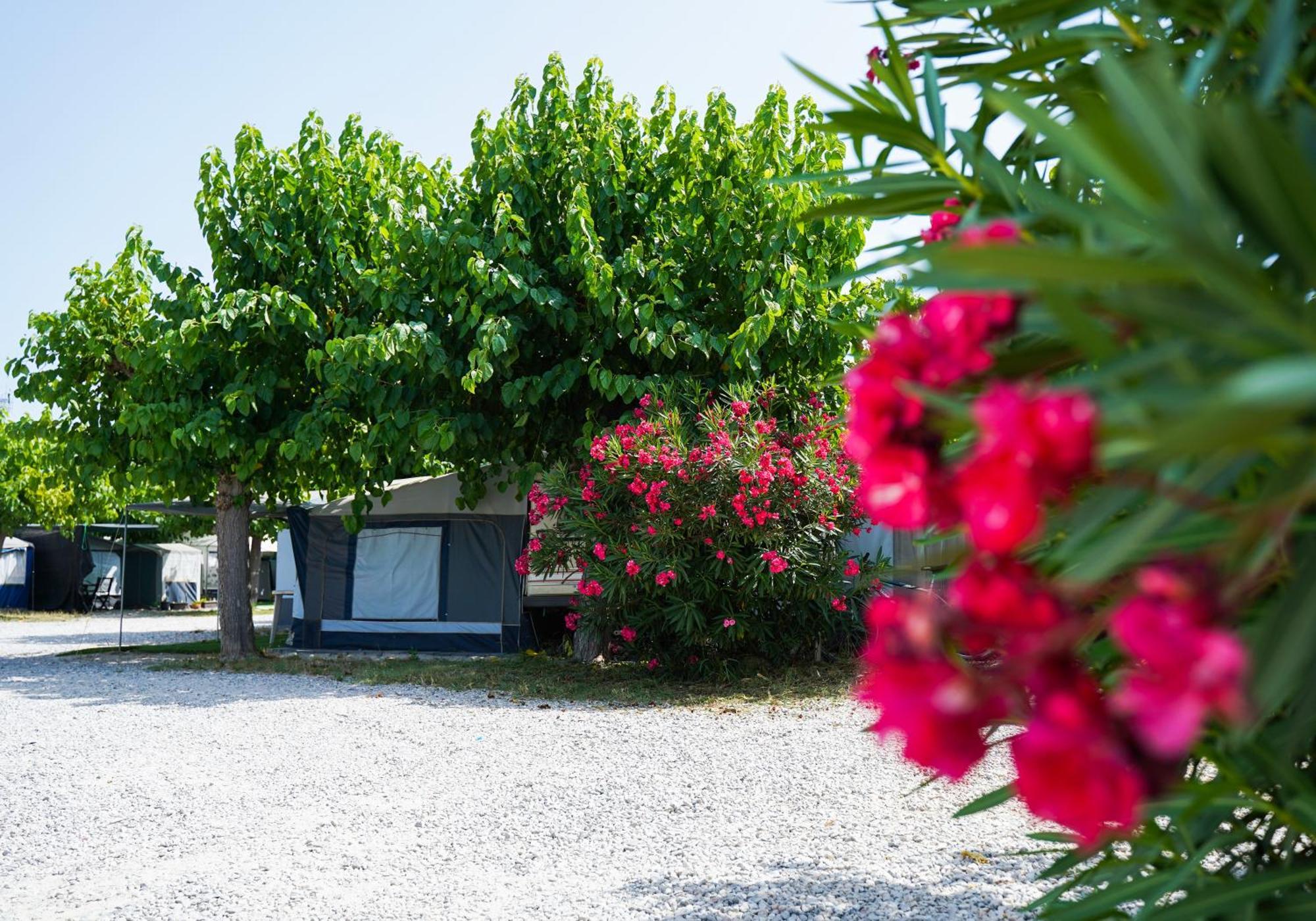 Camping Vila Village Sant Feliu de Buixalleu Eksteriør bilde