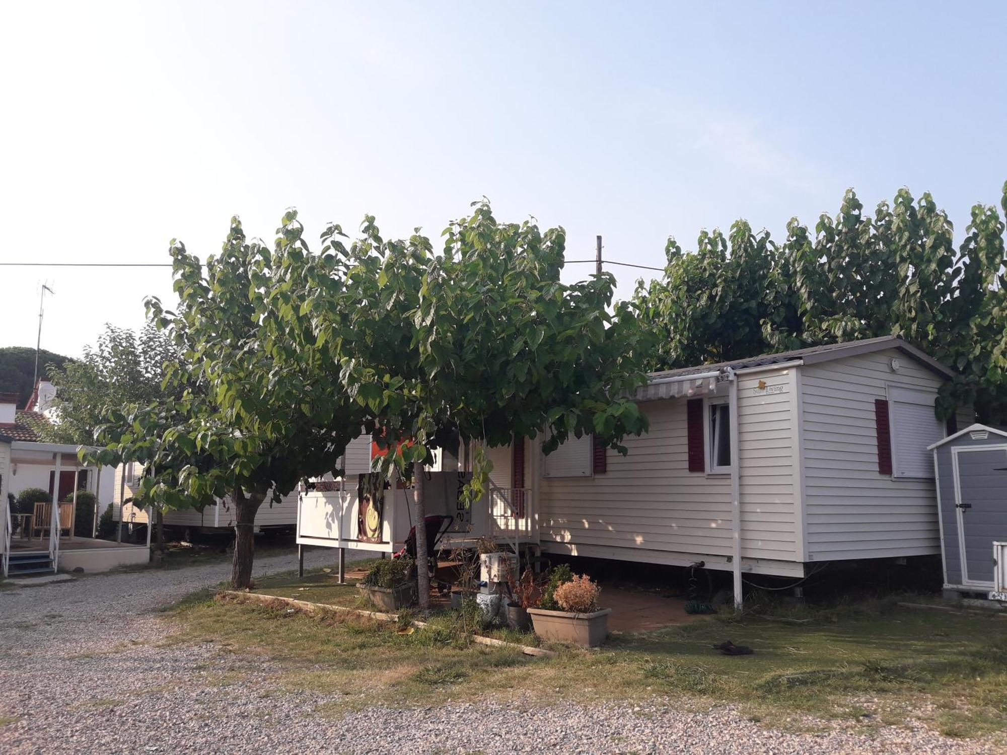 Camping Vila Village Sant Feliu de Buixalleu Eksteriør bilde